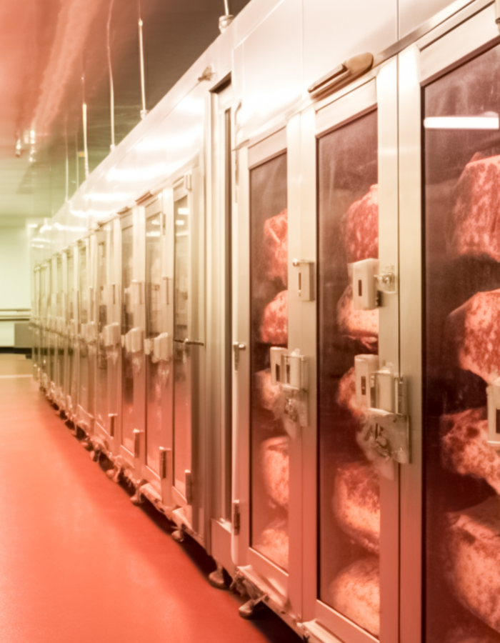 Meat Processor Reduces Waste and Saves USD 800,000+ per year with Process Mining