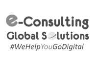 e-Consulting Global Solutions