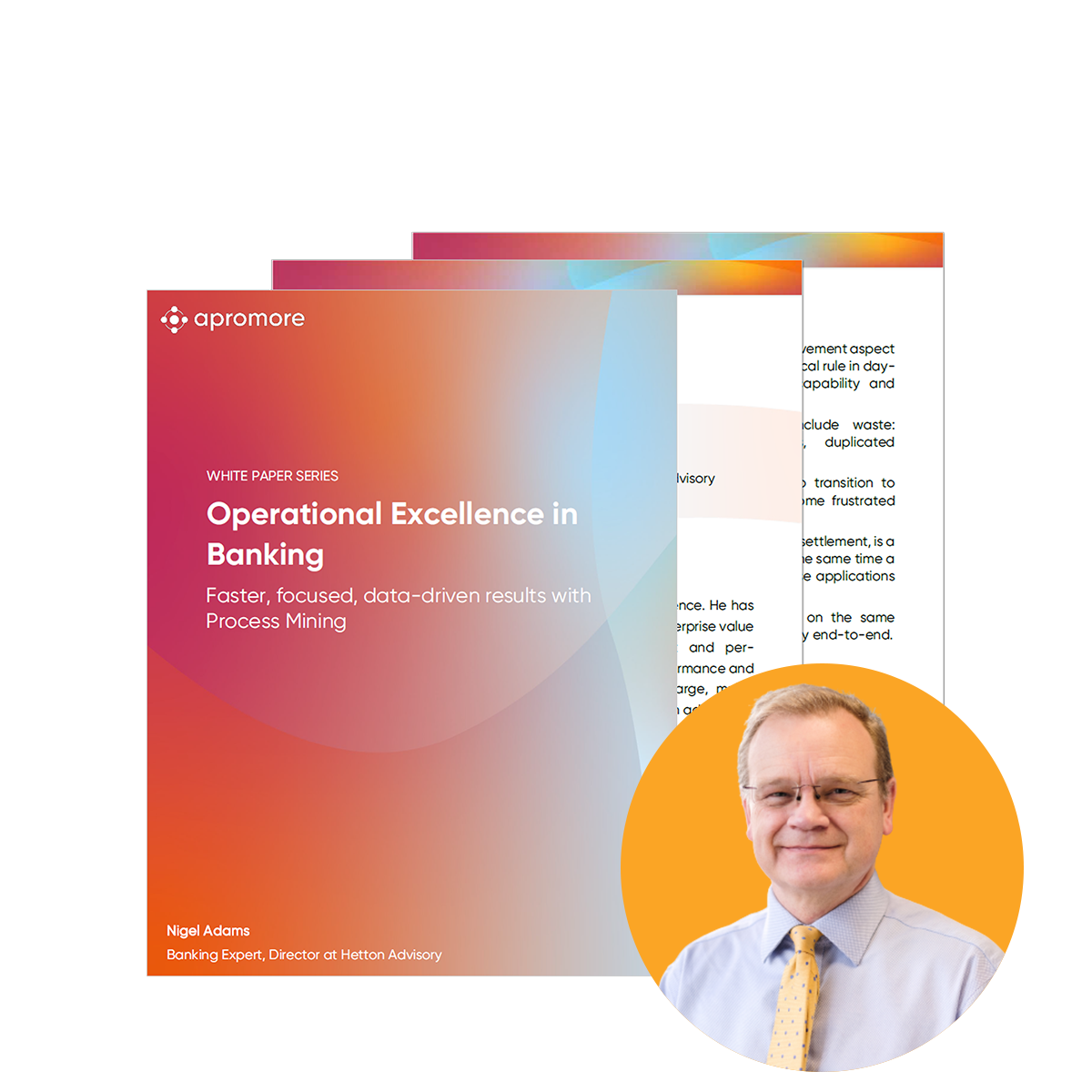 Operational Excellence in Banking