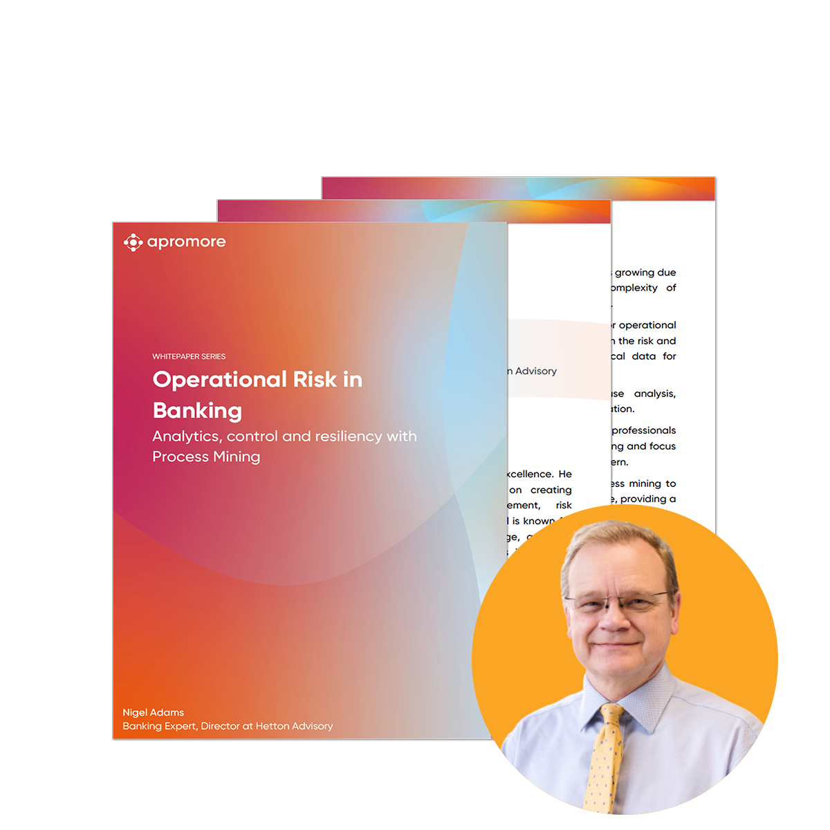 Operational Risk in Banking
