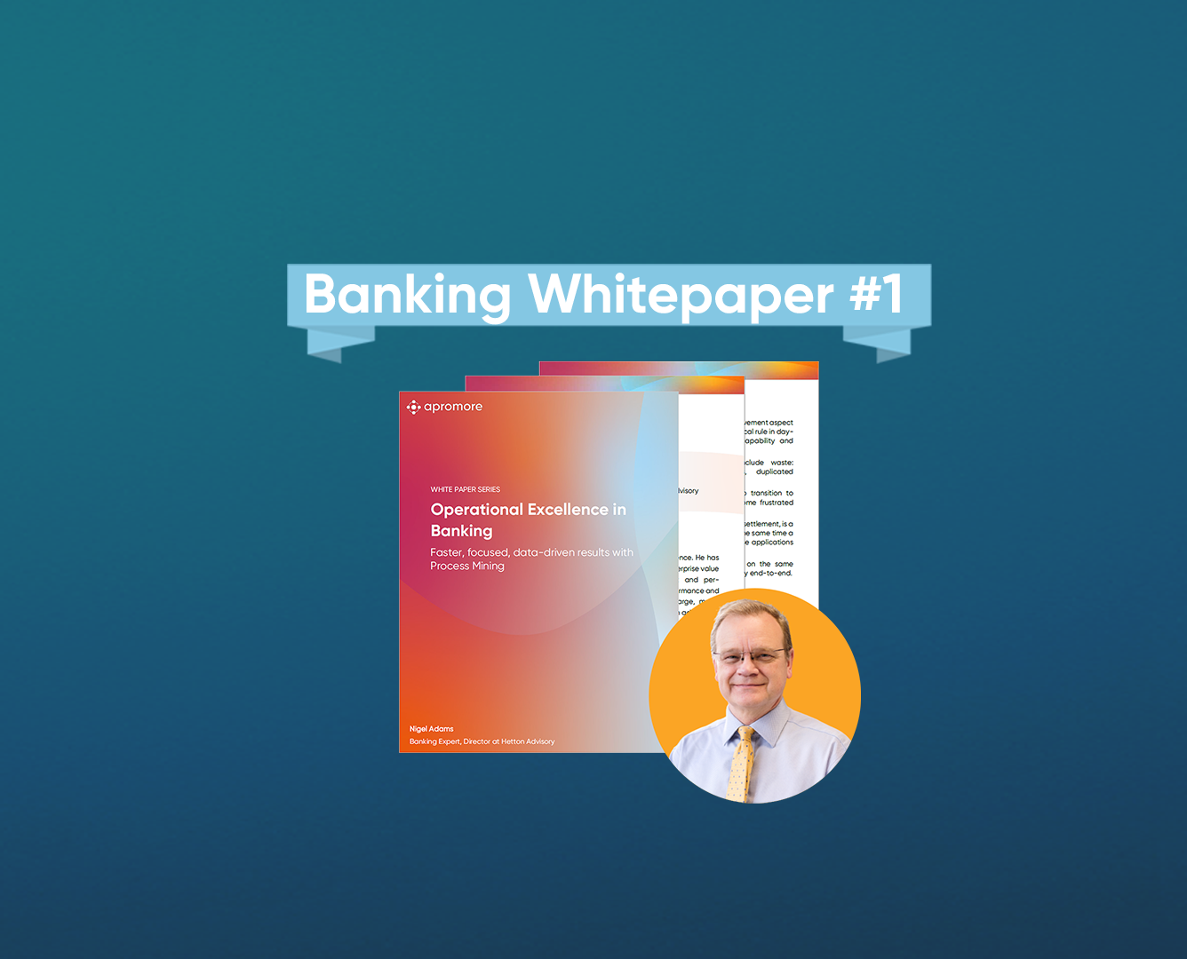 Whitepaper: Operational Excellence in Banking (with Nigel Adams)